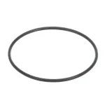 SEAL PISTON-ENERGIZER