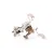 C9-3B82D0087 Star