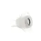 Wilbur Curtis CA-1011-03 Bulkhead, Water Fitting, PC/CK/HC