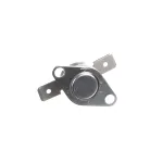 Hi Limit Thermostat, Manual Reset