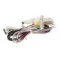Alto Shaam CB-3702 CABLE-SET 3002 HUD 20.20