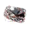 Grindmaster Cecilware CH146L CABINET HARNESS-GB6M