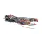 Grindmaster Cecilware CH362 HARNESS (1&2 BREW) - FEN URN