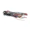 Grindmaster Cecilware CH362 HARNESS (1&2 BREW) - FEN URN