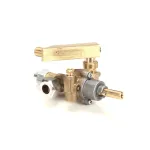 Garland CK4601685 Valve and Adapter Assembly, Manufactured Gas
