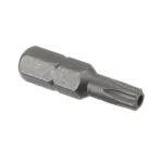 T-25, SECURITY BIT