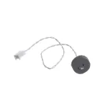 RTD Assembly, Internal, 650 Watt
