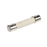 Fuse, 250 Volt, 10 Amp, Fast Acting
