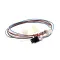 Wire Harness, 6 Pin