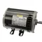 Carrier HVAC CPHD56FL651 Motor, 208-230/460V, 60HZ, 3PH, 1725 RPM, 56Y Frame