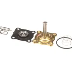 Insinger D2930RK REPAIR KIT, SOLENOID, WATER, 1/2"