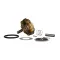 Insinger D2946RK STEAM 3/4 REPAIR KIT