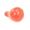 Belshaw DR42-0273 Bulb, Red, 3-3/4" x 2-3/4"