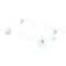 Evo EL-UAP-077N Display Lens
