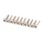 Sure Shot-AC Dispensing F-05-013-SP Valve Screw, 1" Stainless Steel, FH,MS, Pack of 10