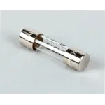 BKI F0176 Houno Fuse, 0.8A, #061416, CVC 1.06, CVC 1.10, CVC 2.10