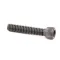 Garland F5 Screw, Socket Head, 1/4-20 x 1.25"