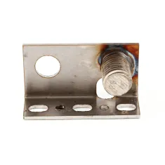 Wells F6-43896 Door Hinge Assembly, Bottom, M4200
