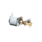 Solenoid Valve Assembly with Coil, 24V