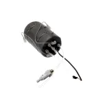 Boiler Tank Assembly, Brew, 230V, 2500W