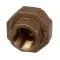 Cleveland FI00096 UNION;3/4 BRASS
