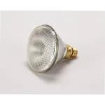 BKI FL0002 LAMP, FLOOD 175W PAR38 120V HE