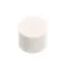 Pump Roller, White PTFE, Each