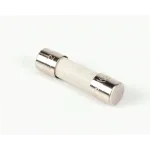 BKI FU019UK Fuse, 2 Amp, Slo-Blo, 5 x 20MM