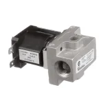 16110 Dynamic Cooking Systems - Gas Solenoid Valve