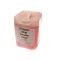 Multiplex GLYCOL-5-PINK GLYCOL PROPYLENE PINK 5 GALLON