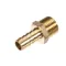 Multiplex H48-8-8 ADAPTER 1/2 B X 1/2 MP BRASS