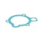 Gasket, Main, Sealed Burner