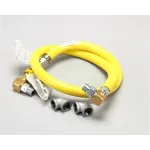 TSHG4D60S T&S Brass