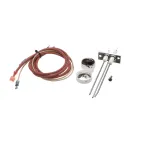 Hot Rocks Oven HR11-0028-A FLAME ROD AND CABLES