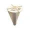 Carpigiani IC142020760 Agitator, Tank Mix