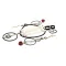 Carpigiani IC193013530 Tune Up Kit, 6 Month