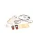 Carpigiani IC193014204 KIT-K 3 -3X- 12 MONTHS