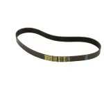 Carpigiani IC531300119 Belt Poly, V 960, J38, 12N