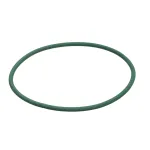 Carpigiani IC531501027 Belt, Volta RPN-6 D 6 X 518