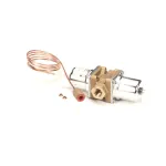 Carpigiani IC581800119 Water Valve, 3/8". Danfoss WVO10