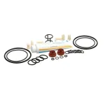 Carpigiani ICA5555750 Tune-Up Kit, UC1131P