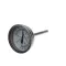 Thermometer, Final Rinse, 1 to 240F/-20 to 120C