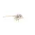 K00798 Globe