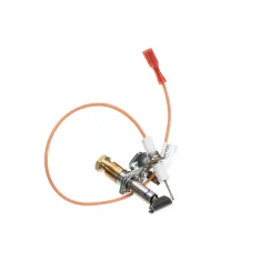 Lang K9-EZG-995 Pilot and Ignitor Assembly