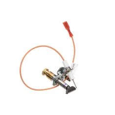 Lang K9-EZG-995 Pilot and Ignitor Assembly