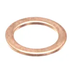 Valve Gasket, 220V, Brass, For ESP Model