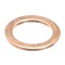 Valve Gasket, 220V, Brass, For ESP Model