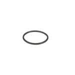 Belshaw MDD-1000X1-3/4 PISTON SEAL O RING 1-3/4 NEWMA