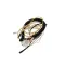Probe, Temperature