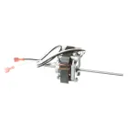 Food Warming Equipment MTRBY12092 Motor Assembly, Dual Shaft, 120V, 50/60HZ